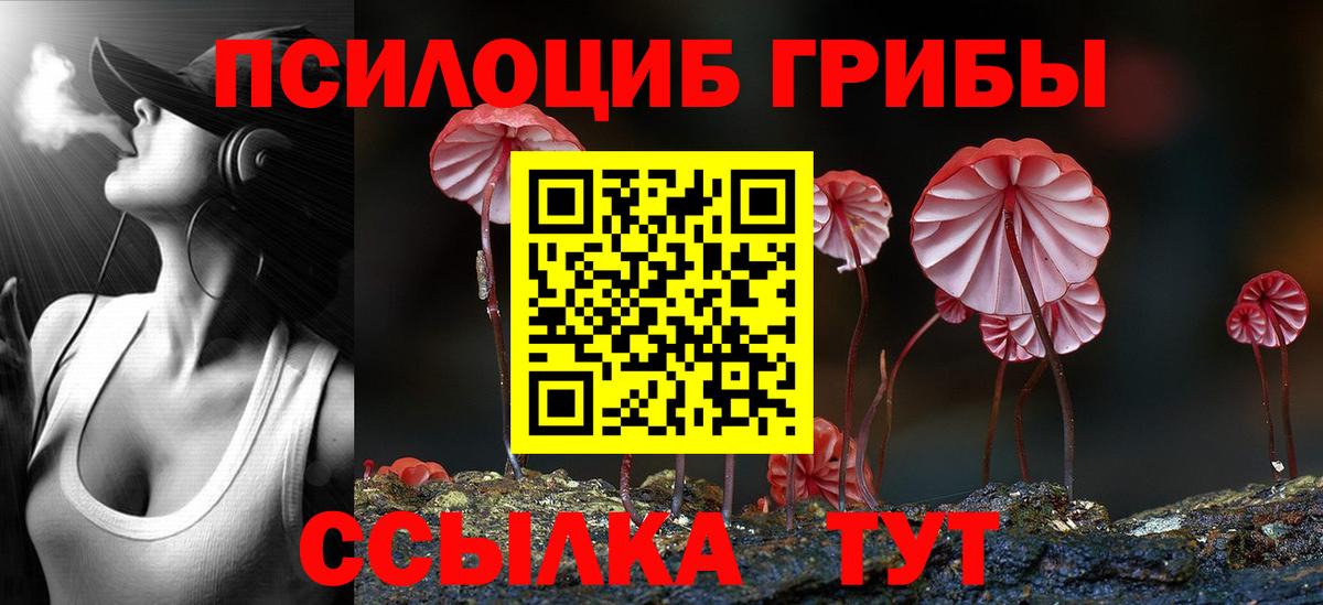 закладки  Галлюциногенные грибы Psilocybine cubensis  Вход с VPN  Муром 
